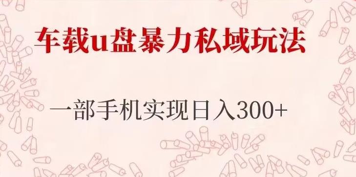 车载u盘暴力私域玩法，长期项目，仅需一部手机实现日入300+九峰网创-分享创业资讯-最新网络创业项目-分享最新赚钱项目九峰网创