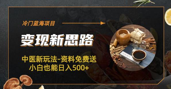 冷门蓝海项目-中医新玩法-资料免费送小白也能日入500+【揭秘】九峰网创-分享创业资讯-最新网络创业项目-分享最新赚钱项目九峰网创