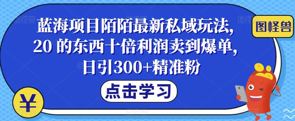 蓝海项目陌陌最新私域玩法，20 的东西十倍利润卖到爆单，日引300+精准粉【揭秘】九峰网创-分享创业资讯-最新网络创业项目-分享最新赚钱项目九峰网创