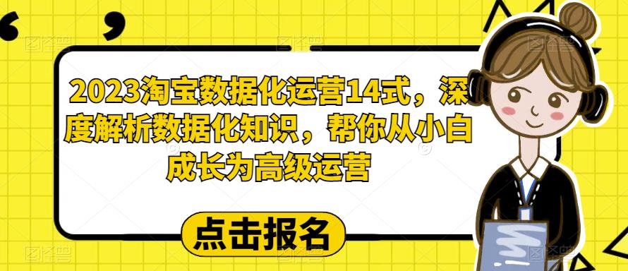 2023淘宝数据化运营14式，深度解析数据化知识，帮你从小白成长为高级运营九峰网创-分享创业资讯-最新网络创业项目-分享最新赚钱项目九峰网创