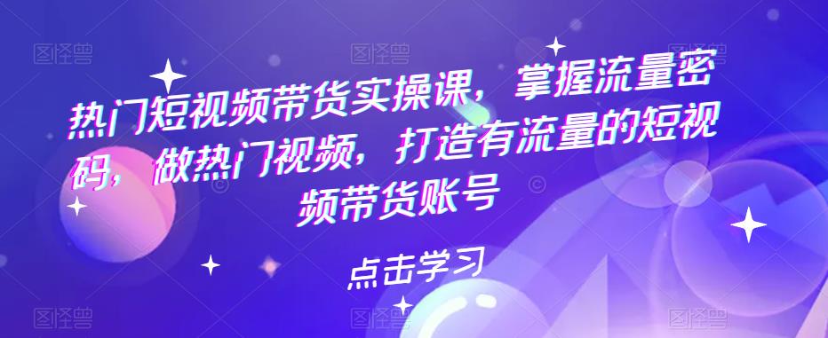 热门短视频带货实操课，掌握流量密码，做热门视频，打造有流量的短视频带货账号九峰网创-分享创业资讯-最新网络创业项目-分享最新赚钱项目九峰网创