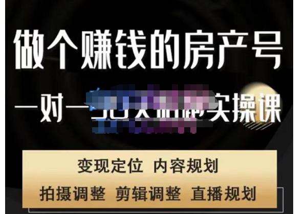 刘广标·同城房产号线上陪跑课，拍摄、剪辑、写文案、直播，做一个具有潜力价值的房产号九峰网创-分享创业资讯-最新网络创业项目-分享最新赚钱项目九峰网创