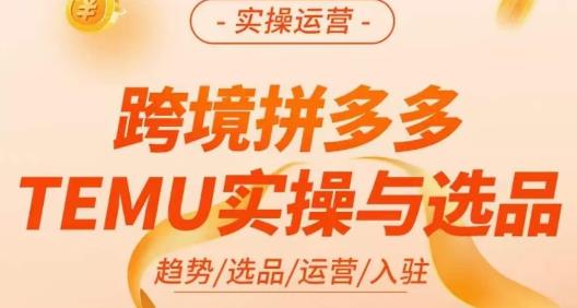 伍跃·跨境拼多多TEMU实操与选品，​趋势/选品/运营/入住（27节完整）九峰网创-分享创业资讯-最新网络创业项目-分享最新赚钱项目九峰网创