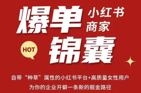 无畏·小红书商家爆单锦囊，掌握小红书各大规则，快速精准抢占行业和市场九峰网创-分享创业资讯-最新网络创业项目-分享最新赚钱项目九峰网创