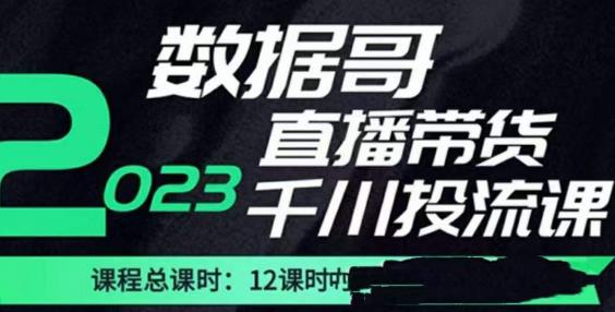 数据哥2023直播电商巨量千川付费投流实操课，快速掌握直播带货运营投放策略九峰网创-分享创业资讯-最新网络创业项目-分享最新赚钱项目九峰网创