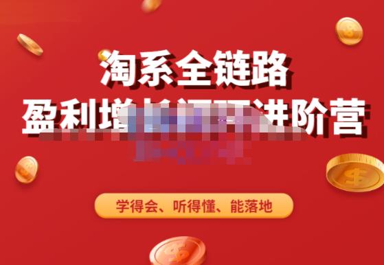 淘系全链路盈利增长闭环进阶营，融合全店动销，学得会、听得懂、能落地！九峰网创-分享创业资讯-最新网络创业项目-分享最新赚钱项目九峰网创