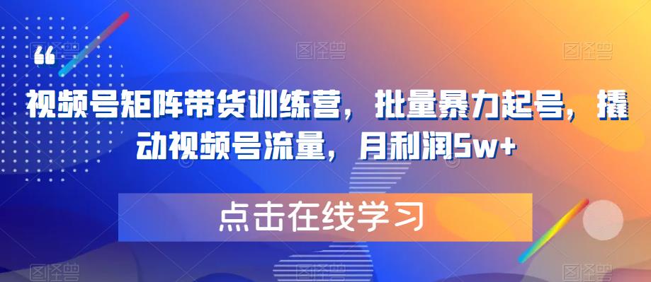 视频号矩阵带货训练营，批量暴力起号，撬动视频号流量，月利润5w+九峰网创-分享创业资讯-最新网络创业项目-分享最新赚钱项目九峰网创