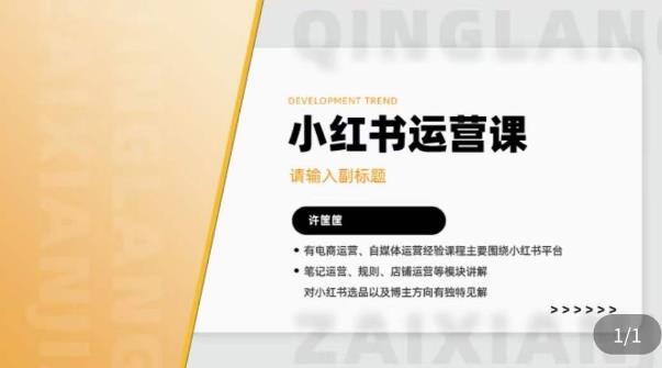 许筐筺·小红书运营课，​笔记运营、规则、店铺运营等模块讲解，学会自己独立运营小红书账号九峰网创-分享创业资讯-最新网络创业项目-分享最新赚钱项目九峰网创