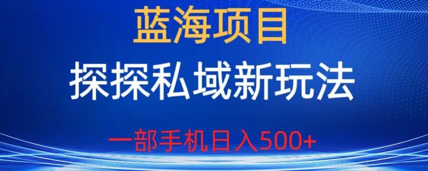 蓝海项目，探探私域新玩法，一部手机日入500+很轻松【揭秘】九峰网创-分享创业资讯-最新网络创业项目-分享最新赚钱项目九峰网创