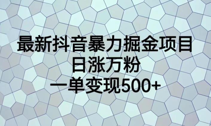 最新抖音暴力掘金项目，日涨万粉，一单变现500+【揭秘】九峰网创-分享创业资讯-最新网络创业项目-分享最新赚钱项目九峰网创