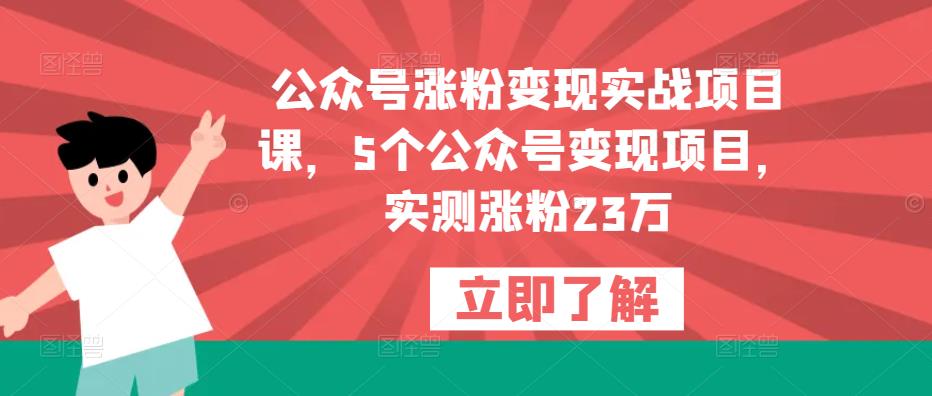 公众号涨粉变现实战项目课，5个公众号变现项目，实测涨粉23万九峰网创-分享创业资讯-最新网络创业项目-分享最新赚钱项目九峰网创