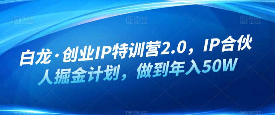 白龙·创业IP特训营2.0，IP合伙人掘金计划，做到年入50W九峰网创-分享创业资讯-最新网络创业项目-分享最新赚钱项目九峰网创