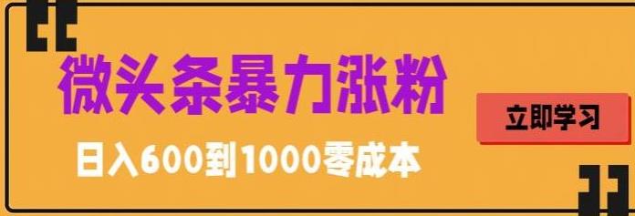 微头条暴力涨粉技巧搬运文案就能涨几万粉丝，简单0成本，日赚600【揭秘】九峰网创-分享创业资讯-最新网络创业项目-分享最新赚钱项目九峰网创