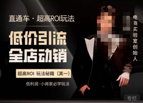 电商冰可乐·直通车·《低价引流·全店动销》，直通车·超高ROI玩法（其一）全店动销必学玩法九峰网创-分享创业资讯-最新网络创业项目-分享最新赚钱项目九峰网创