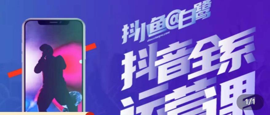 白鹭·主播内训营，运营主播话术起号进阶能力提升九峰网创-分享创业资讯-最新网络创业项目-分享最新赚钱项目九峰网创