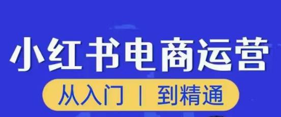 顽石小红书电商高阶运营课程，从入门到精通，玩法流程持续更新九峰网创-分享创业资讯-最新网络创业项目-分享最新赚钱项目九峰网创