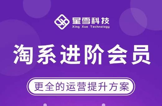 星雪·淘系进阶课程，快速提升突破技能流量瓶颈必备（更新2023年5月）九峰网创-分享创业资讯-最新网络创业项目-分享最新赚钱项目九峰网创