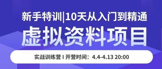 虚拟资料项目新手特训，10天从入门到精通，保姆级实操教学九峰网创-分享创业资讯-最新网络创业项目-分享最新赚钱项目九峰网创