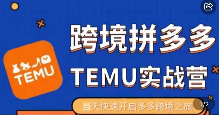 大鹏出海·拼多多跨境temu运营指导，开店注册+选品+核价上架，日出千单实战课九峰网创-分享创业资讯-最新网络创业项目-分享最新赚钱项目九峰网创