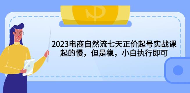 2023电商自然流七天正价起号实战课：起的慢，但是稳，小白执行即可！九峰网创-分享创业资讯-最新网络创业项目-分享最新赚钱项目九峰网创
