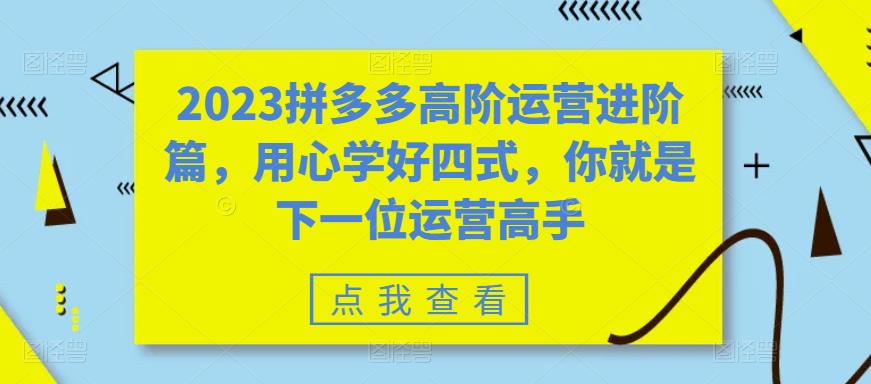 2023拼多多高阶运营进阶篇，用心学好四式，你就是下一位运营高手九峰网创-分享创业资讯-最新网络创业项目-分享最新赚钱项目九峰网创
