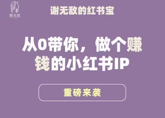 谢无敌·小红书运营大宝典，从0带你做个赚钱的小红书IP九峰网创-分享创业资讯-最新网络创业项目-分享最新赚钱项目九峰网创