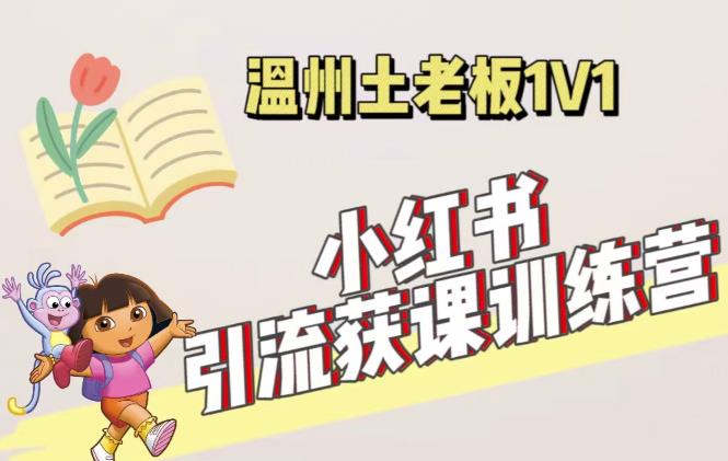 小红书1对1引流获客训练营：账号、内容、引流、成交（价值3999元）九峰网创-分享创业资讯-最新网络创业项目-分享最新赚钱项目九峰网创