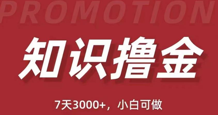 抖音知识撸金项目：简单粗暴日入1000+执行力强当天见收益(教程+资料)九峰网创-分享创业资讯-最新网络创业项目-分享最新赚钱项目九峰网创