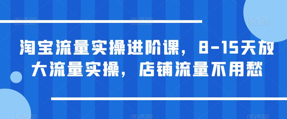 淘宝流量实操进阶课，8-15天放大流量实操，店铺流量不用愁九峰网创-分享创业资讯-最新网络创业项目-分享最新赚钱项目九峰网创