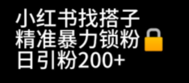 小红书找搭子暴力精准锁粉+引流日引200+精准粉九峰网创-分享创业资讯-最新网络创业项目-分享最新赚钱项目九峰网创