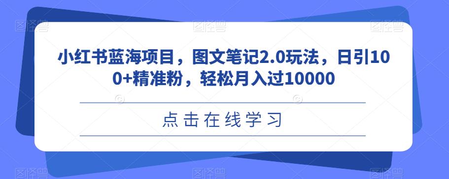 小红书蓝海项目，图文笔记2.0玩法，日引100+精准粉，轻松月入过10000【揭秘】九峰网创-分享创业资讯-最新网络创业项目-分享最新赚钱项目九峰网创