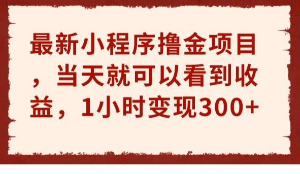 最新小程序撸金项目，当天就可以看到收益，1小时变现300+【揭秘】九峰网创-分享创业资讯-最新网络创业项目-分享最新赚钱项目九峰网创