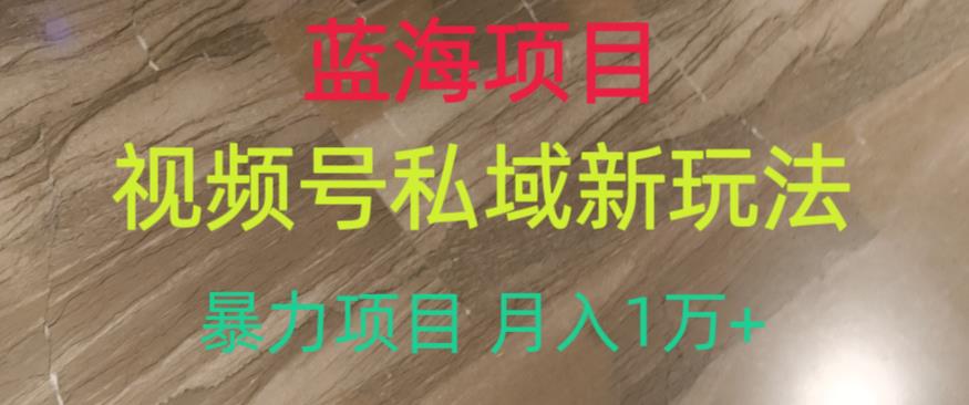 被人忽略的蓝海项目，魔方通关秘籍，一单的利润有39.9，几乎是零成本，月入过万很轻松【揭秘】九峰网创-分享创业资讯-最新网络创业项目-分享最新赚钱项目九峰网创