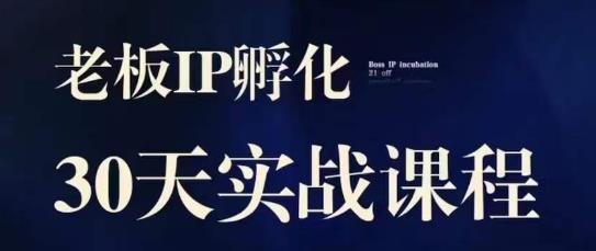 诸葛·2023老板IP实战课，实体同城引流获客，IP孵化必听九峰网创-分享创业资讯-最新网络创业项目-分享最新赚钱项目九峰网创