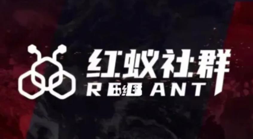 全网首发-小红书无限曝光术pro版全领域粉丝精准拿下九峰网创-分享创业资讯-最新网络创业项目-分享最新赚钱项目九峰网创