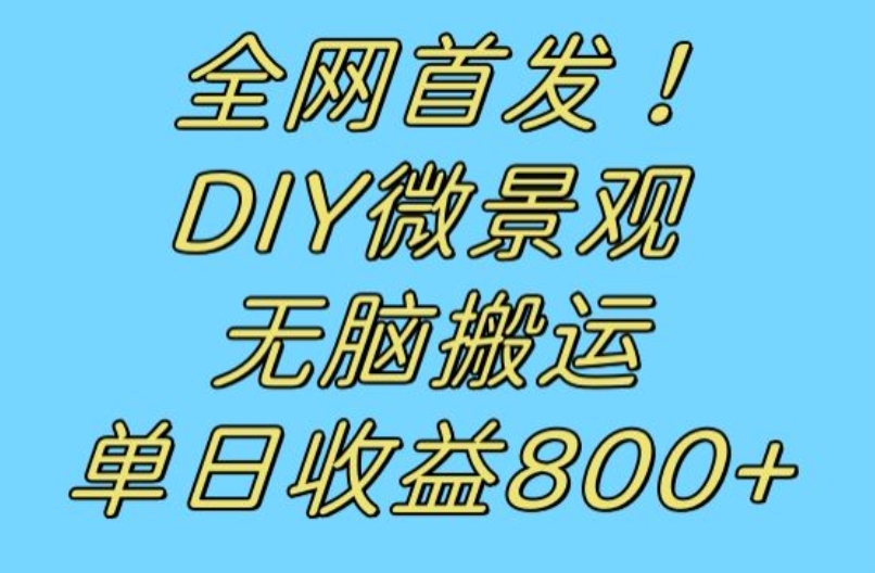全网首发冷门赛道！DIY微景观，无脑搬运视频，日收益800+【揭秘】九峰网创-分享创业资讯-最新网络创业项目-分享最新赚钱项目九峰网创