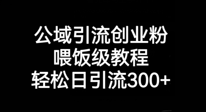 公域引流创业粉，喂饭级教程，轻松日引流300+【揭秘】九峰网创-分享创业资讯-最新网络创业项目-分享最新赚钱项目九峰网创