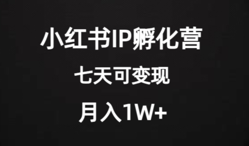 价值2000+的小红书IP孵化营项目，超级大蓝海，七天即可开始变现，稳定月入1W+九峰网创-分享创业资讯-最新网络创业项目-分享最新赚钱项目九峰网创