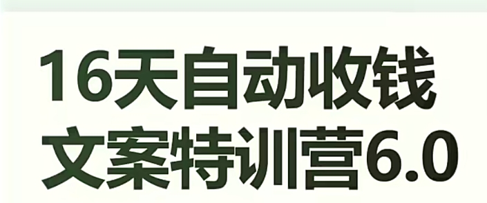 16天自动收钱文案特训营6.0，学会儿每天自动咔咔收钱九峰网创-分享创业资讯-最新网络创业项目-分享最新赚钱项目九峰网创