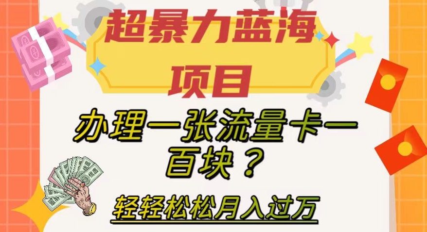 超暴力蓝海项目，办理一张流量卡一百块？轻轻松松月入过万，保姆级教程【揭秘】九峰网创-分享创业资讯-最新网络创业项目-分享最新赚钱项目九峰网创