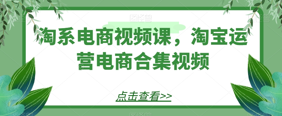 淘系电商视频课，淘宝运营电商合集视频九峰网创-分享创业资讯-最新网络创业项目-分享最新赚钱项目九峰网创