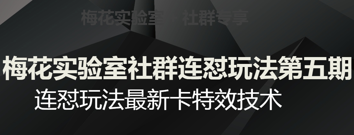 梅花实验室社群连怼玩法第五期，视频号连怼玩法最新卡特效技术九峰网创-分享创业资讯-最新网络创业项目-分享最新赚钱项目九峰网创