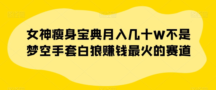 女神瘦身宝典月入几十W不是梦空手套白狼赚钱最火的赛道【揭秘】九峰网创-分享创业资讯-最新网络创业项目-分享最新赚钱项目九峰网创