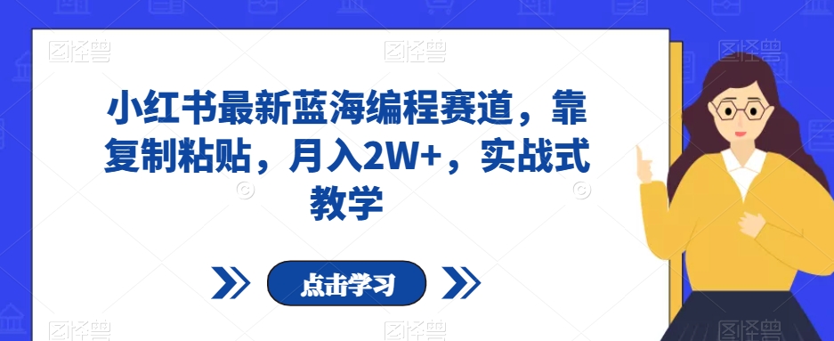 小红书最新蓝海编程赛道，靠复制粘贴，月入2W+，实战式教学【揭秘】九峰网创-分享创业资讯-最新网络创业项目-分享最新赚钱项目九峰网创