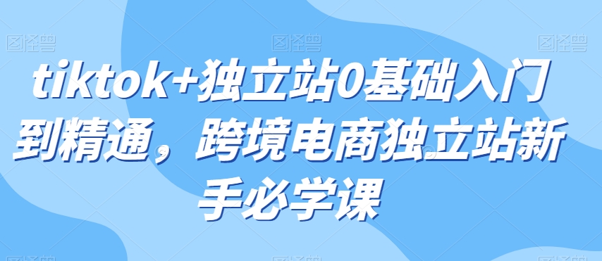 tiktok+独立站0基础入门到精通，跨境电商独立站新手必学课九峰网创-分享创业资讯-最新网络创业项目-分享最新赚钱项目九峰网创