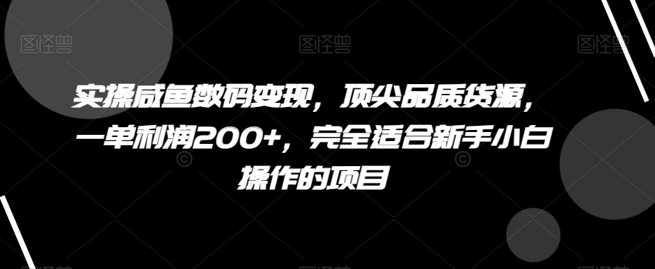 实操咸鱼数码变现，顶尖品质货源，一单利润200+，完全适合新手小白操作的项目【揭秘】九峰网创-分享创业资讯-最新网络创业项目-分享最新赚钱项目九峰网创