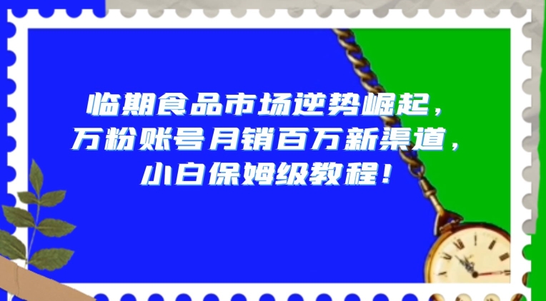 临期食品市场逆势崛起，万粉账号月销百万新渠道，小白保姆级教程【揭秘】九峰网创-分享创业资讯-最新网络创业项目-分享最新赚钱项目九峰网创