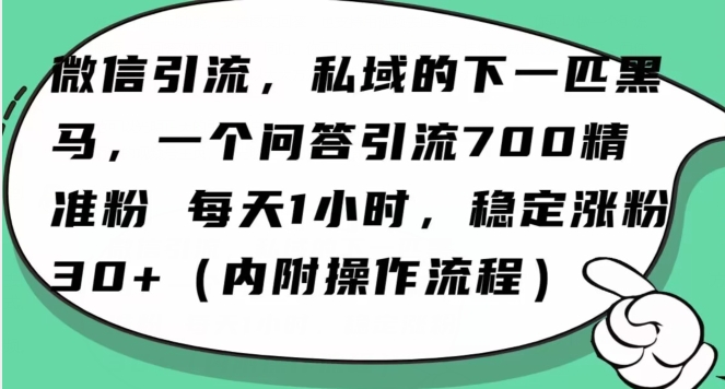 怎么搞精准创业粉？微信新赛道，每天一小时，利用Ai一个问答日引100精准粉九峰网创-分享创业资讯-最新网络创业项目-分享最新赚钱项目九峰网创