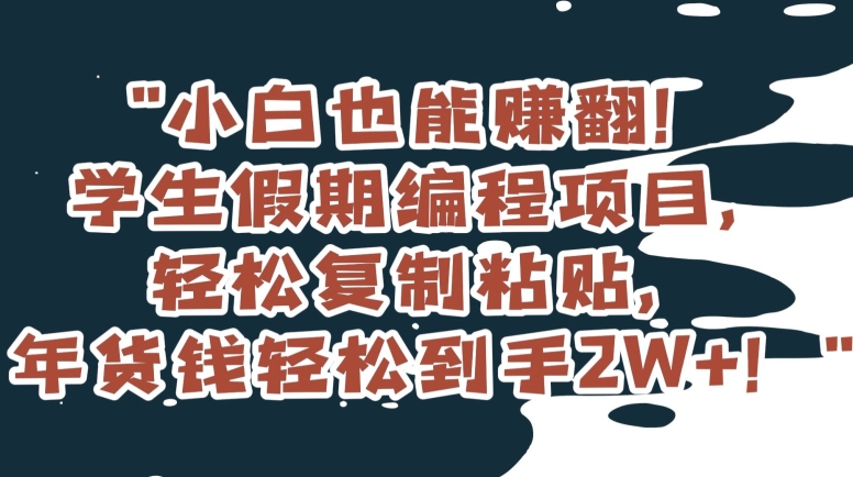 小白也能赚翻！学生假期编程项目，轻松复制粘贴，年货钱轻松到手2W+【揭秘】九峰网创-分享创业资讯-最新网络创业项目-分享最新赚钱项目九峰网创
