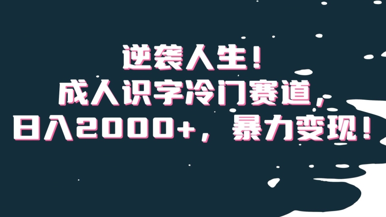 逆袭人生！成人识字冷门赛道，日入2000+，暴力变现！【揭秘】九峰网创-分享创业资讯-最新网络创业项目-分享最新赚钱项目九峰网创